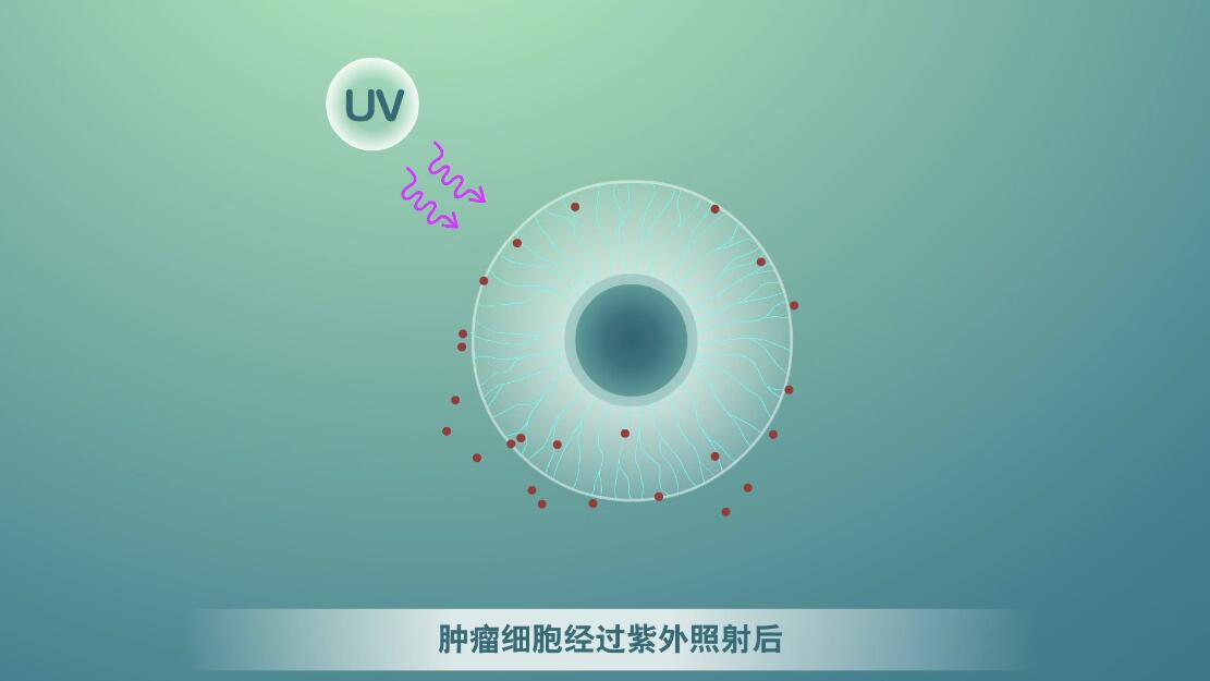 Flash動(dòng)畫制作《細(xì)胞囊泡生物治療》醫(yī)學(xué)動(dòng)漫宣傳片.jpg Flash動(dòng)畫制作《細(xì)胞囊泡生物治療》醫(yī)學(xué)動(dòng)漫宣傳片.jpg