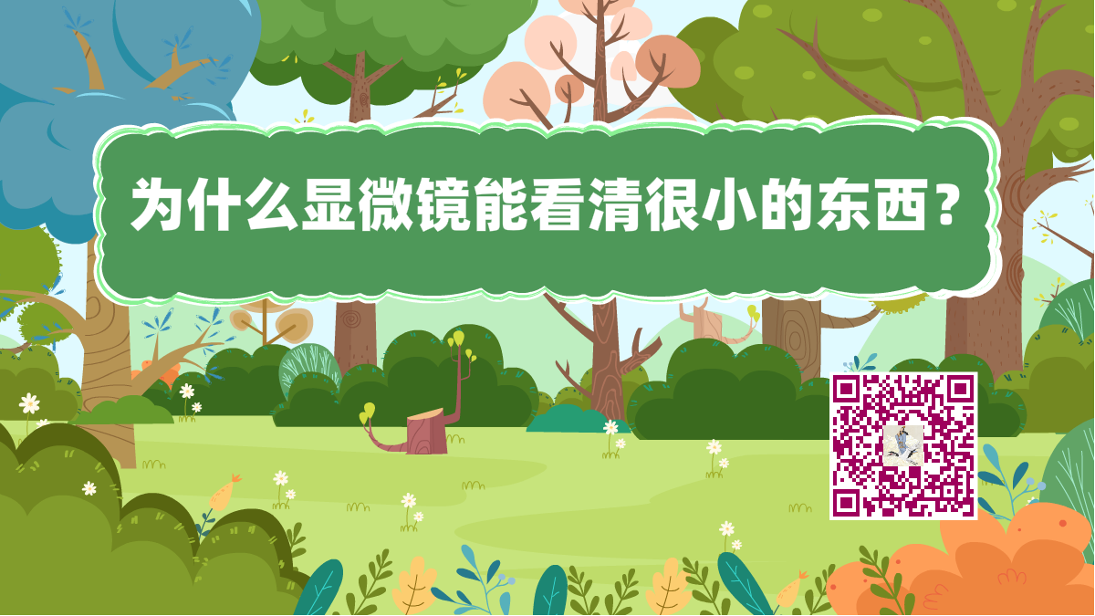 十萬個為什么標(biāo)題(顯微鏡看很?。?200.png 十萬個為什么標(biāo)題(顯微鏡看很小)1200.png