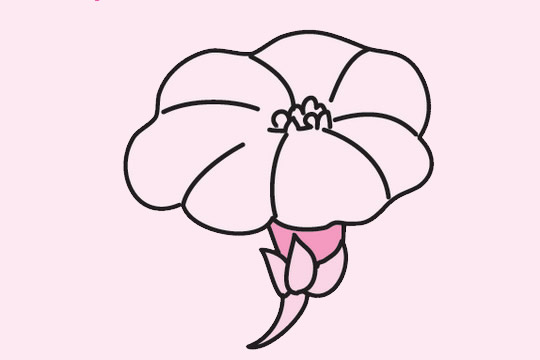 牽?；ê喒P畫圖片