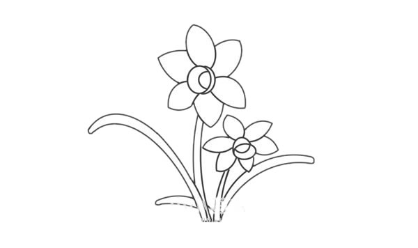 彩色水仙花簡(jiǎn)筆畫(huà)畫(huà)法步驟圖片