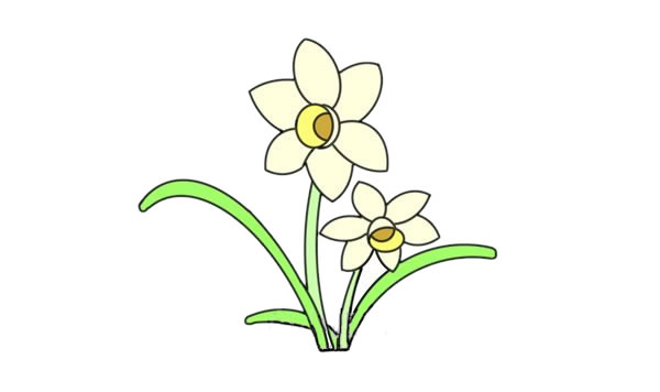 水仙花簡(jiǎn)筆畫(huà).jpg 水仙花簡(jiǎn)筆畫(huà).jpg