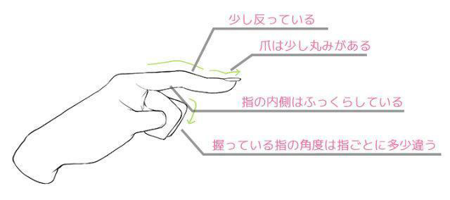 手指，指甲和關(guān)節(jié)的畫(huà)法.jpg