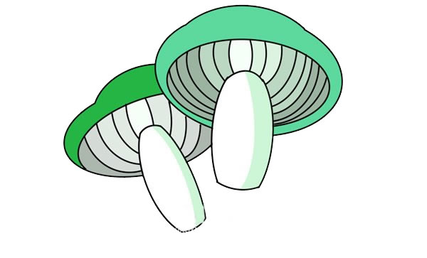 彩色蘑菇簡(jiǎn)筆畫畫法步驟圖片