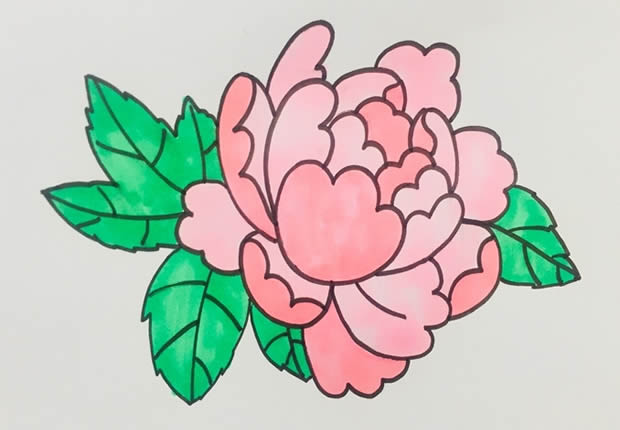牡丹花簡筆畫畫法步驟圖片