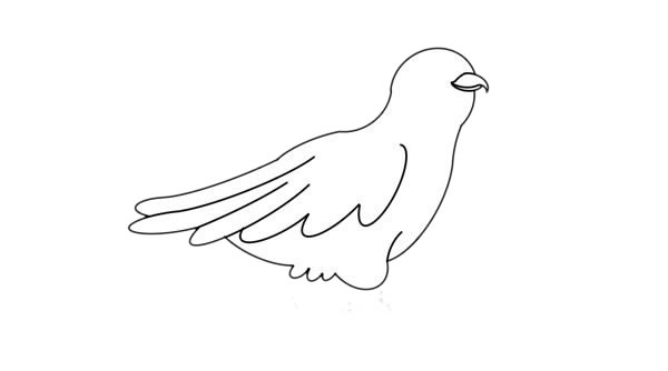 杜鵑鳥簡筆畫 杜鵑鳥簡筆畫畫法步驟圖片