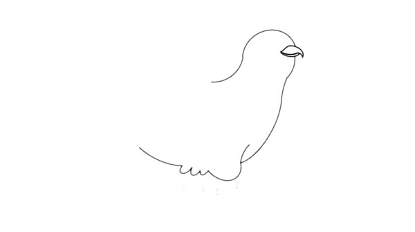 杜鵑鳥簡筆畫 杜鵑鳥簡筆畫畫法步驟圖片