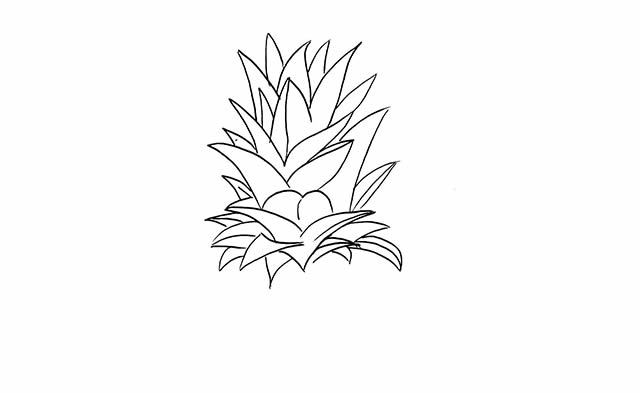 菠蘿簡(jiǎn)筆畫(huà) 菠蘿簡(jiǎn)筆畫(huà)畫(huà)法步驟圖片