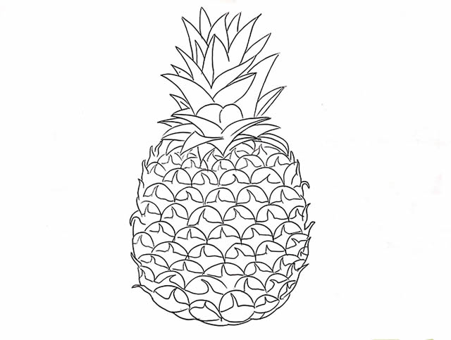 菠蘿簡(jiǎn)筆畫(huà) 菠蘿簡(jiǎn)筆畫(huà)畫(huà)法步驟圖片