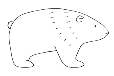 北極熊簡(jiǎn)筆畫(huà)圖片