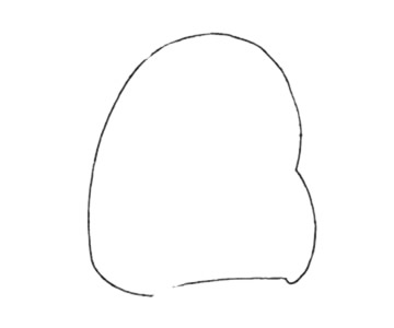 倉(cāng)鼠簡(jiǎn)筆畫(huà)圖片