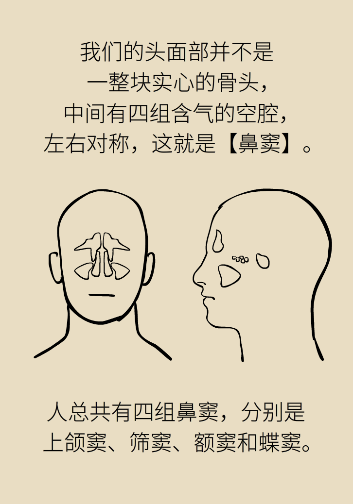 為什么鼻竇發(fā)炎，疼的卻是頭、眼和牙？