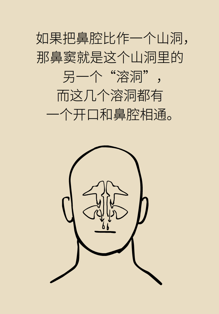 為什么鼻竇發(fā)炎，疼的卻是頭、眼和牙？