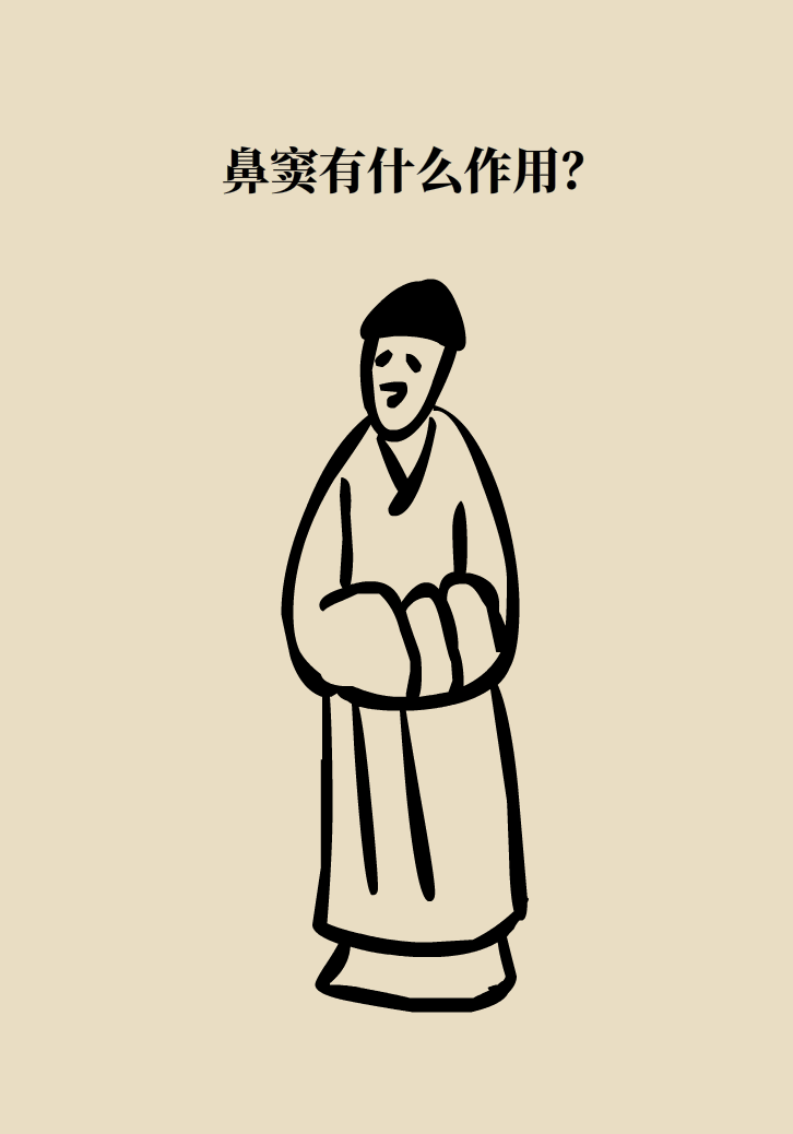 為什么鼻竇發(fā)炎，疼的卻是頭、眼和牙？