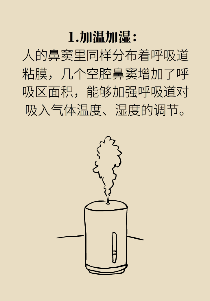 為什么鼻竇發(fā)炎，疼的卻是頭、眼和牙？
