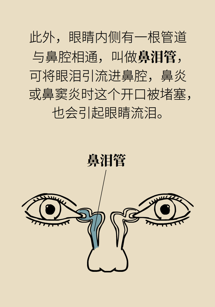為什么鼻竇發(fā)炎，疼的卻是頭、眼和牙？