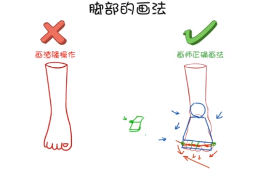在這個(gè)弧線上，可以畫出大拇趾，跟小拇趾的兩個(gè)突出的關(guān)節(jié).png