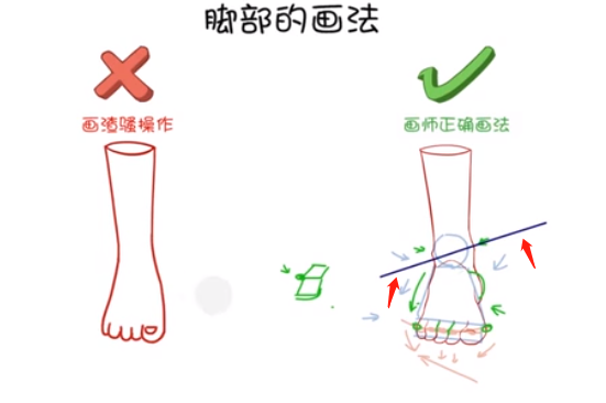 在腳腕的地方，畫出一些凸出來的踝關(guān)節(jié)，一定要記住里面的踝關(guān)節(jié)會(huì)比外面的踝關(guān)節(jié)要高，能形成一個(gè)傾斜的坡度。.png