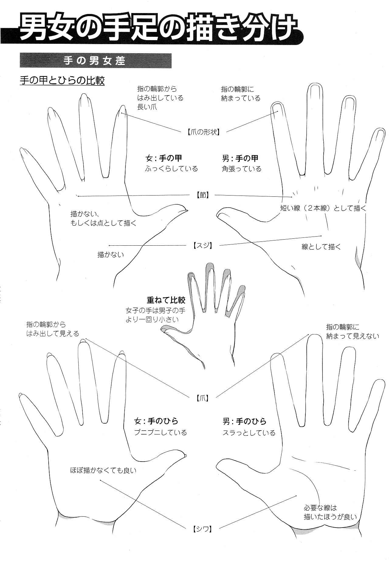 男女比例的差別怎么畫？