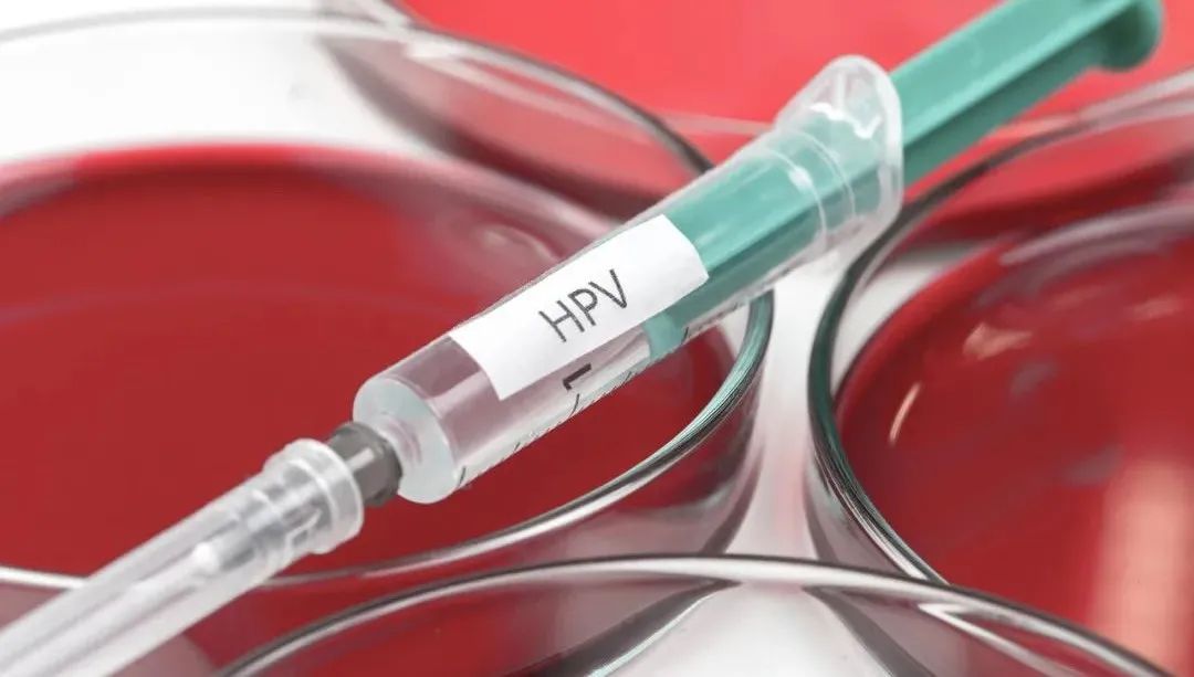HPV疫苗科普 ：不是預(yù)防宮頸癌的嗎，怎么男孩也要打？