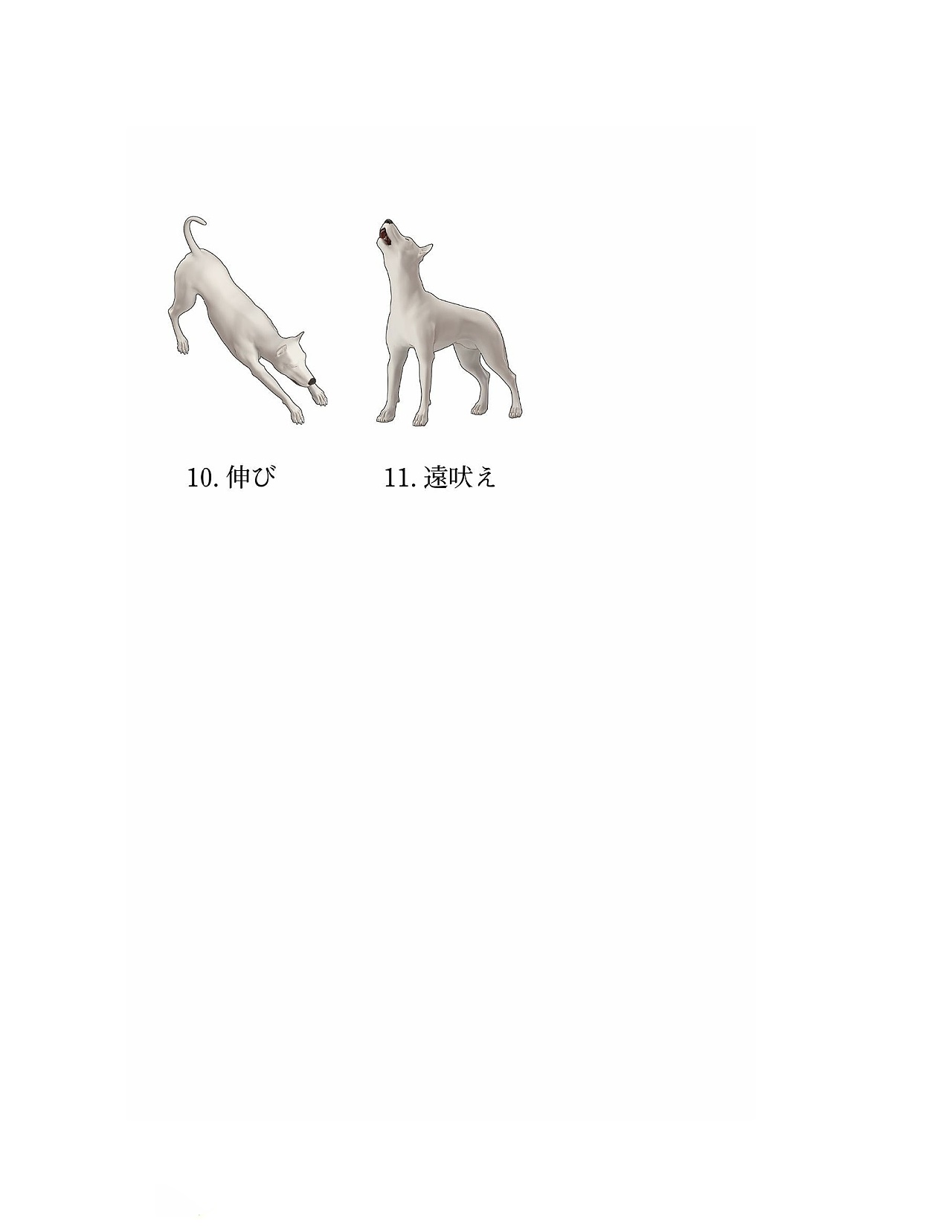 貓?jiān)趺串?huà)，狗狗怎么畫(huà)？貓、犬の繪畫(huà)方法