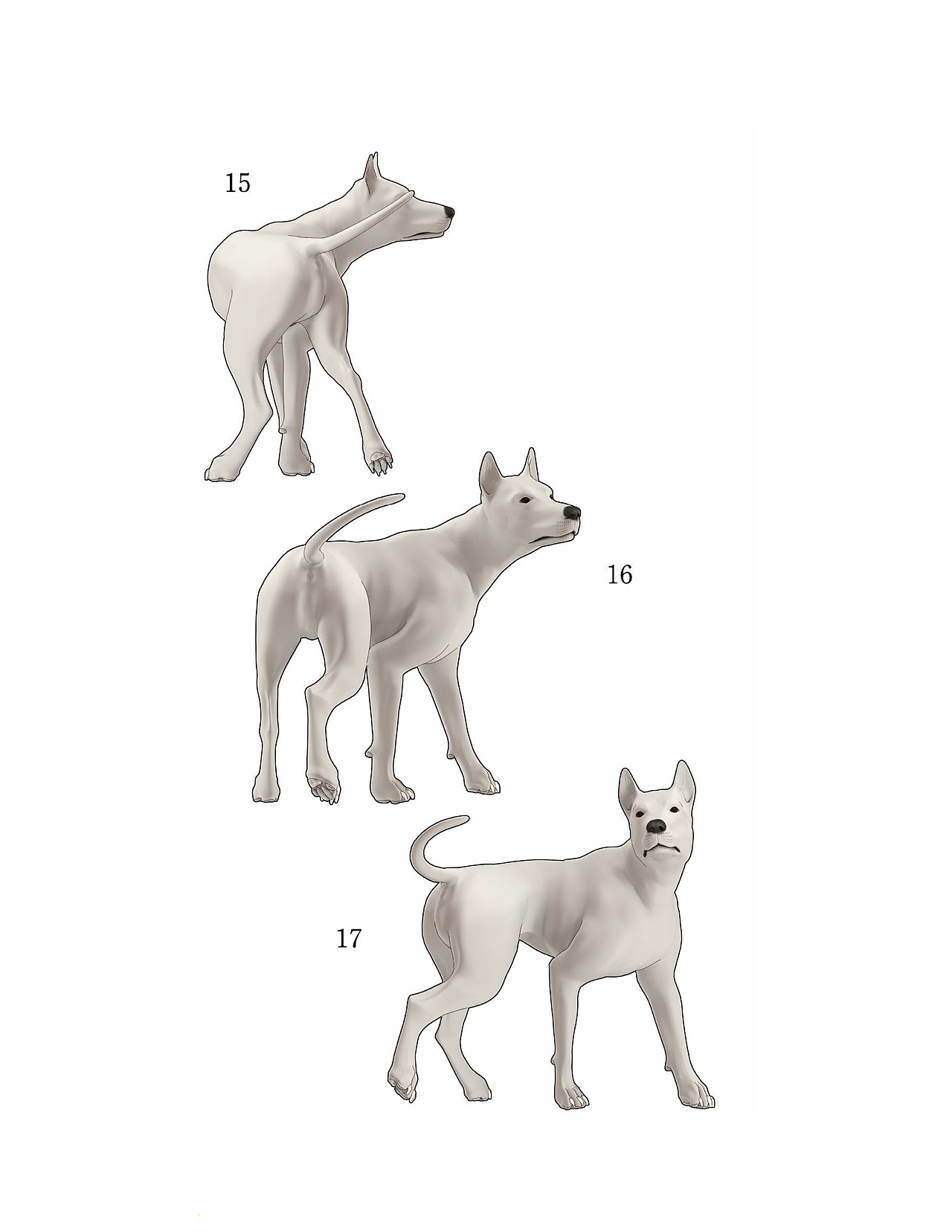 貓?jiān)趺串?huà)，狗狗怎么畫(huà)？貓、犬の繪畫(huà)方法
