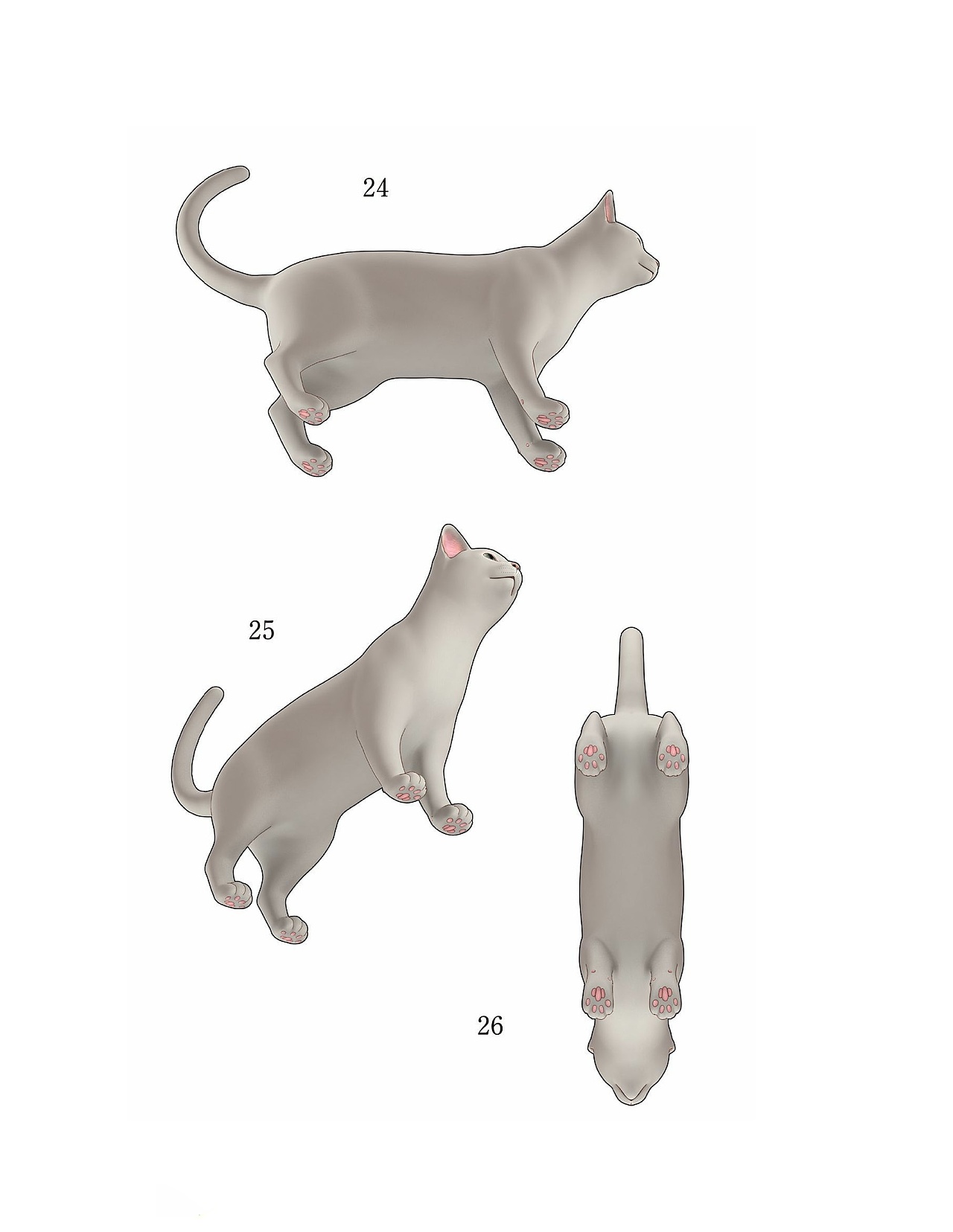 貓?jiān)趺串?huà)，狗狗怎么畫(huà)？貓、犬の繪畫(huà)方法