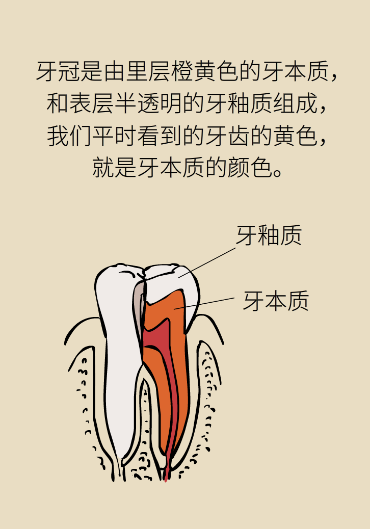 牙太黃，這些“美白”方法管用嗎？