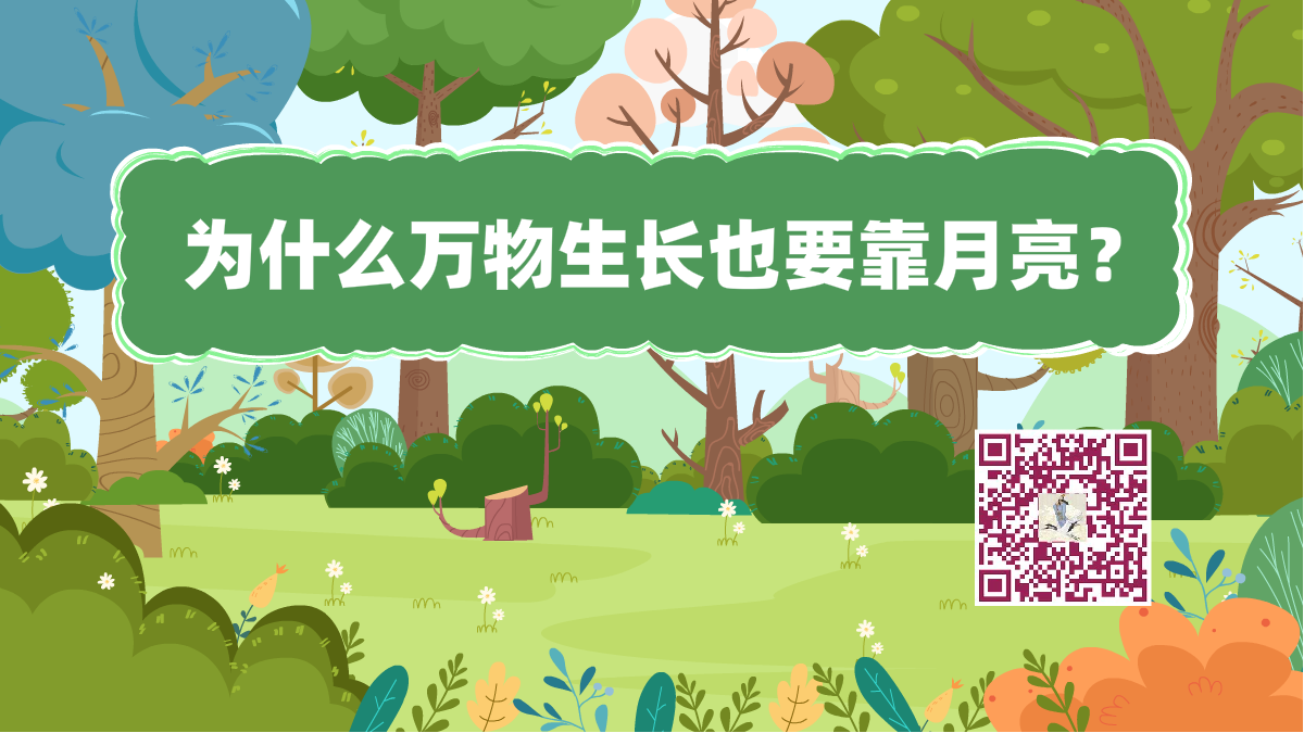 十萬個為什么標(biāo)題(月亮萬物)1200.png 十萬個為什么標(biāo)題(月亮萬物)1200.png