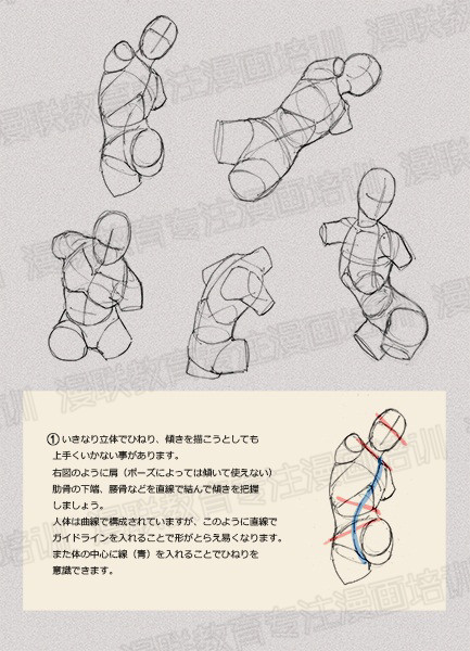 零基礎(chǔ)學(xué)繪畫教程！如何正確掌握繪畫人體結(jié)構(gòu)？