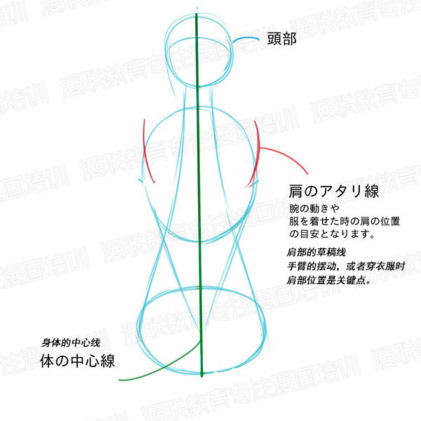 「教程」如何正確掌握人體結(jié)構(gòu) part 01 男女背部的區(qū)別畫法 「教程」如何正確掌握人體結(jié)構(gòu) part 01 男女背部的區(qū)別畫法