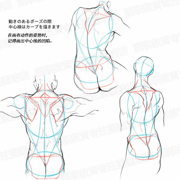 「教程」如何正確掌握人體結(jié)構(gòu) part 01 男女背部的區(qū)別畫法 「教程」如何正確掌握人體結(jié)構(gòu) part 01 男女背部的區(qū)別畫法