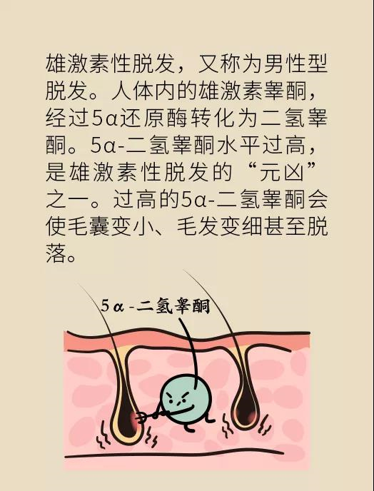 頭發(fā)一把一把地掉？搞明白根源才能對癥下藥