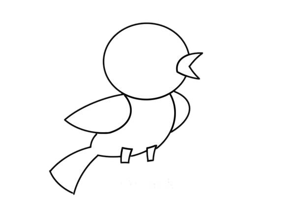 超萌小鳥(niǎo)簡(jiǎn)筆畫(huà)畫(huà)法圖片
