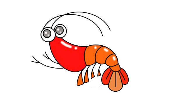 蝦怎么畫(huà)？