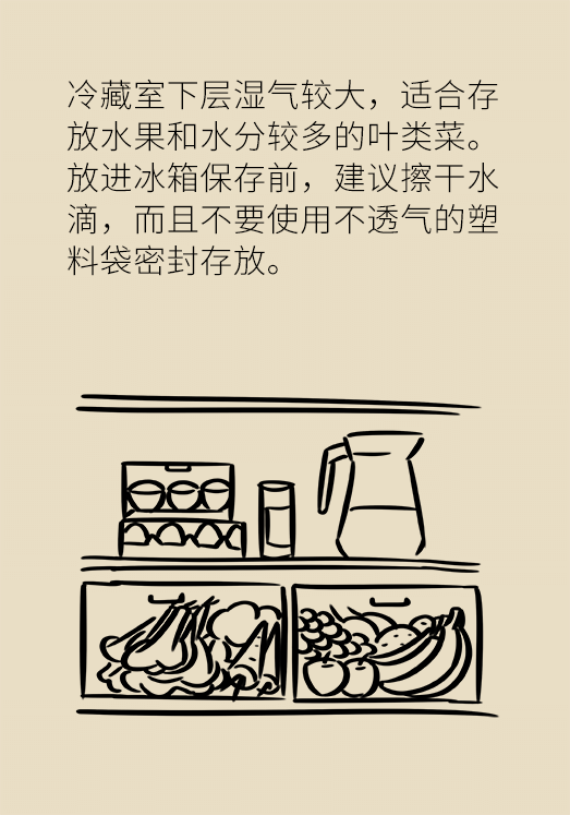 冰箱竟成了細(xì)菌的溫床？專(zhuān)家：正確使用是關(guān)鍵