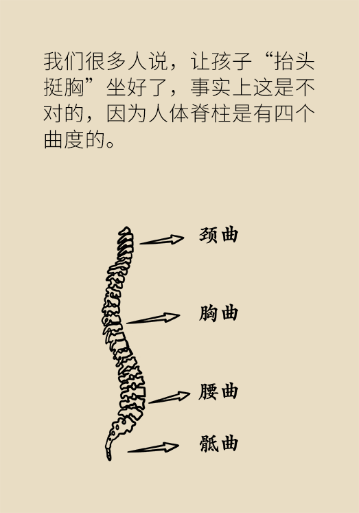 正確坐姿科普動漫制作：抬頭挺胸竟然不是最正確的姿勢？