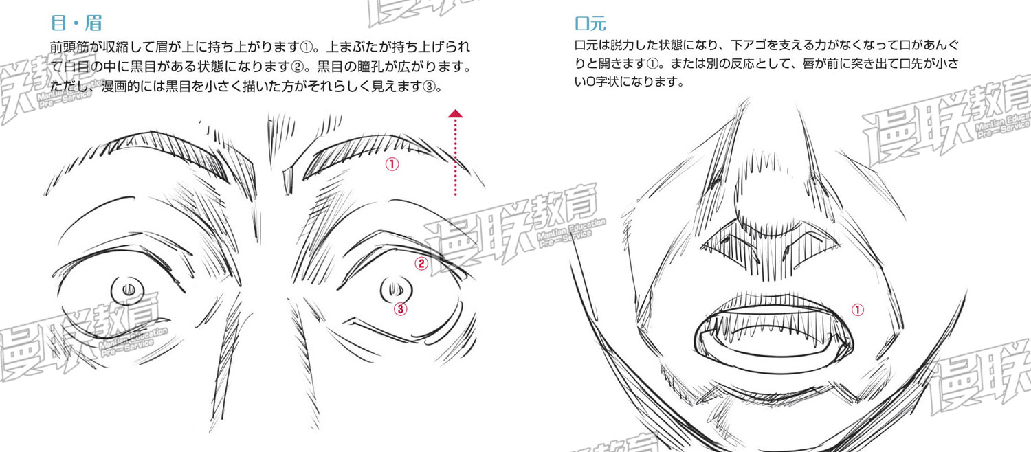 「教程」漫畫人物6種基本表情的畫法 part 04 “驚”的表情畫法 「教程」漫畫人物6種基本表情的畫法 part 04 “驚”的表情畫法
