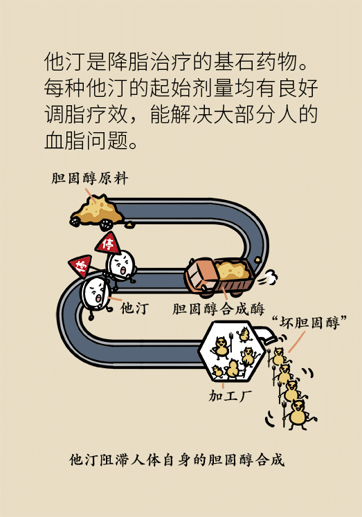 心梗動(dòng)漫科普：血脂都正常就萬(wàn)事大吉了嗎？