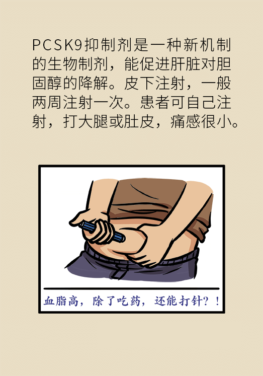 心梗動(dòng)漫科普：血脂都正常就萬(wàn)事大吉了嗎？