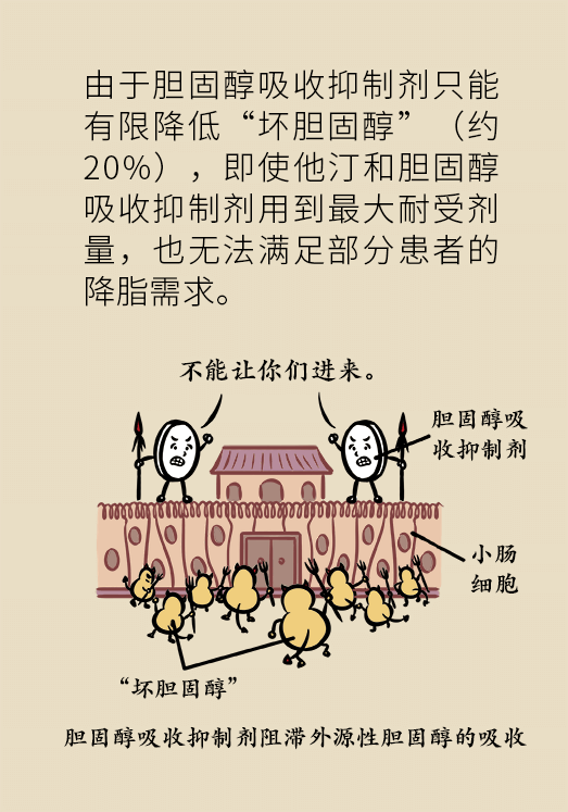 心梗動(dòng)漫科普：血脂都正常就萬(wàn)事大吉了嗎？