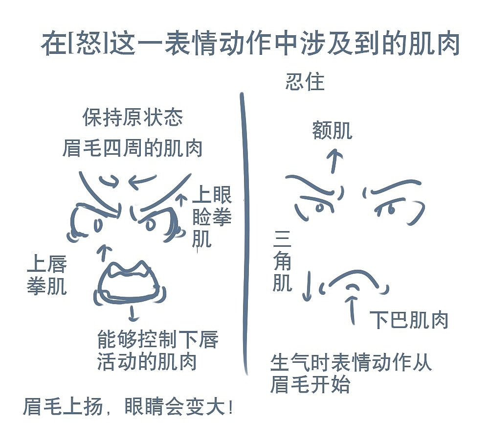 「動漫設計」人物表情大集合之【怒】發(fā)沖冠 「動漫設計」人物表情大集合之【怒】發(fā)沖冠