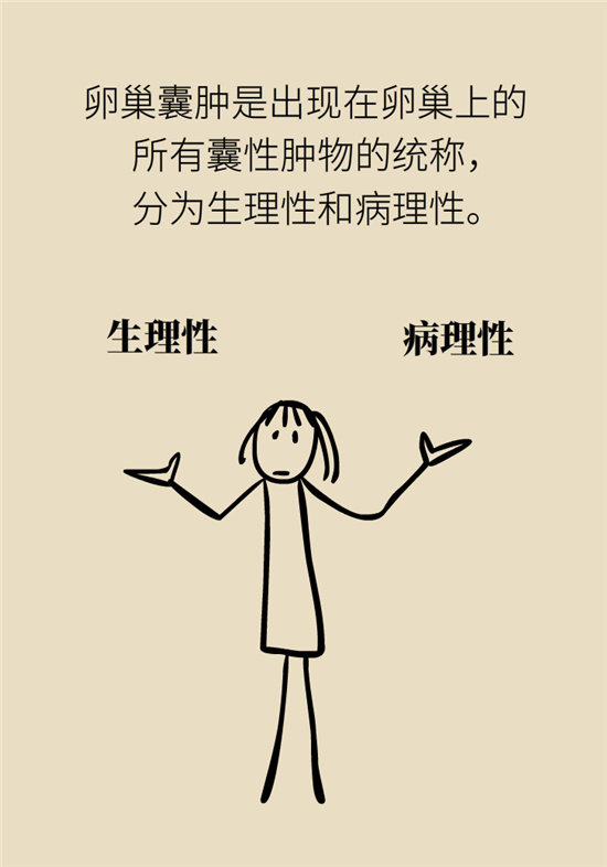 卵巢囊腫科普動漫：卵巢囊腫是腫瘤嗎？要學會這樣區(qū)分