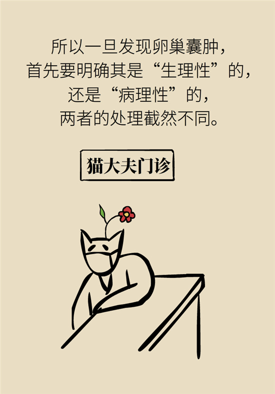 卵巢囊腫科普動漫：卵巢囊腫是腫瘤嗎？要學會這樣區(qū)分