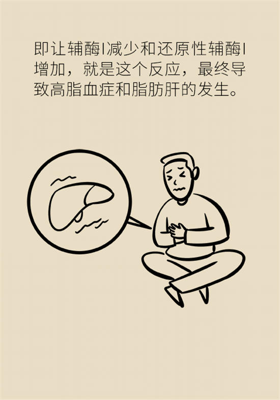 喝酒之后會傷肝？這個因素很重要