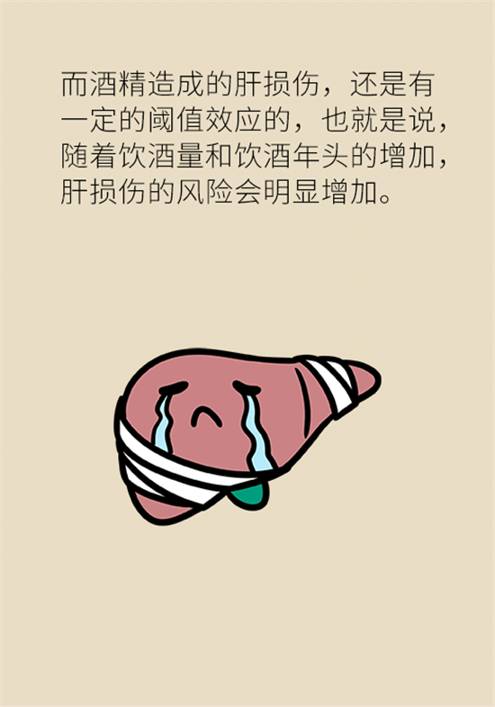 喝酒之后會傷肝？這個因素很重要