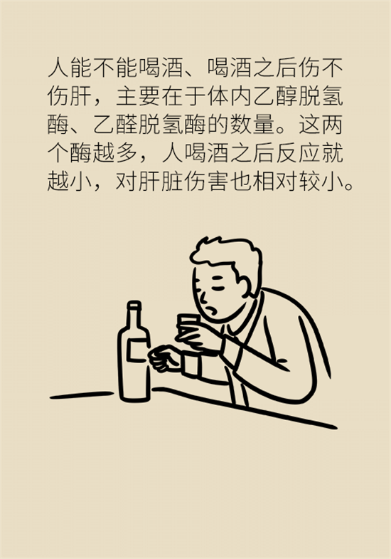 喝酒之后會傷肝？這個因素很重要