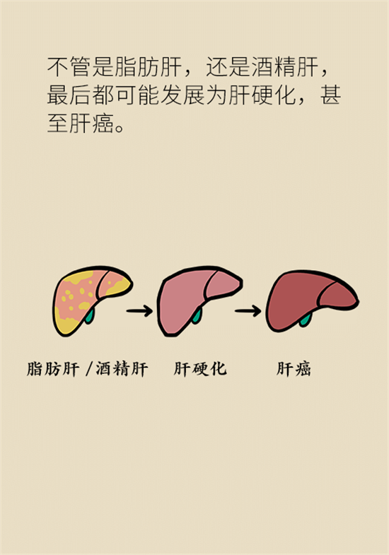 喝酒之后會傷肝？這個因素很重要