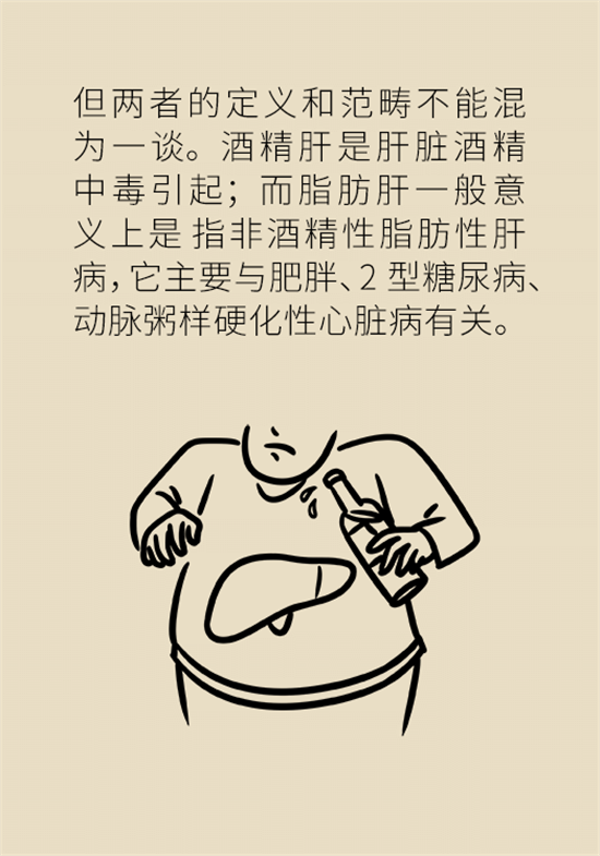 喝酒之后會傷肝？這個因素很重要