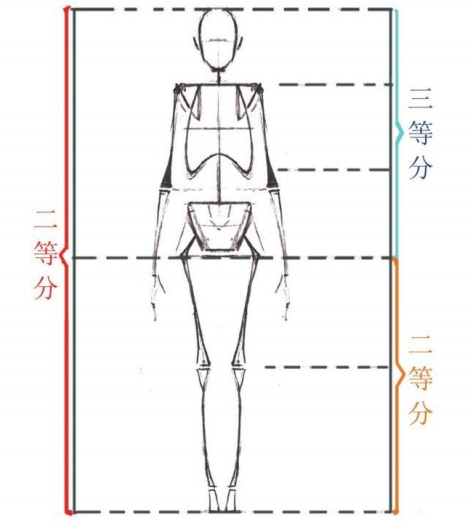 「動漫設計教程」人體繪畫基礎 part 01 認識骨骼(1) 「動漫設計教程」人體繪畫基礎 part 01 認識骨骼(1)