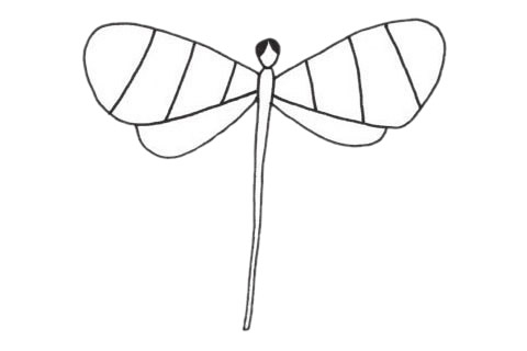 蜻蜓簡(jiǎn)筆畫(huà)圖片
